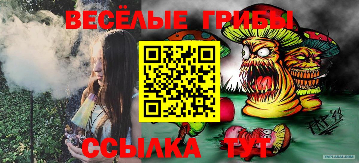 Ртищево  Псилоцибиновые грибы мухоморы  Вход с VPN 