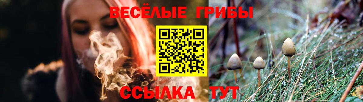 Псилоцибиновые грибы ЛСД Ртищево